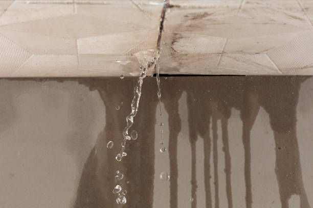 Professional Structural Drying technician working in Farmington, MI